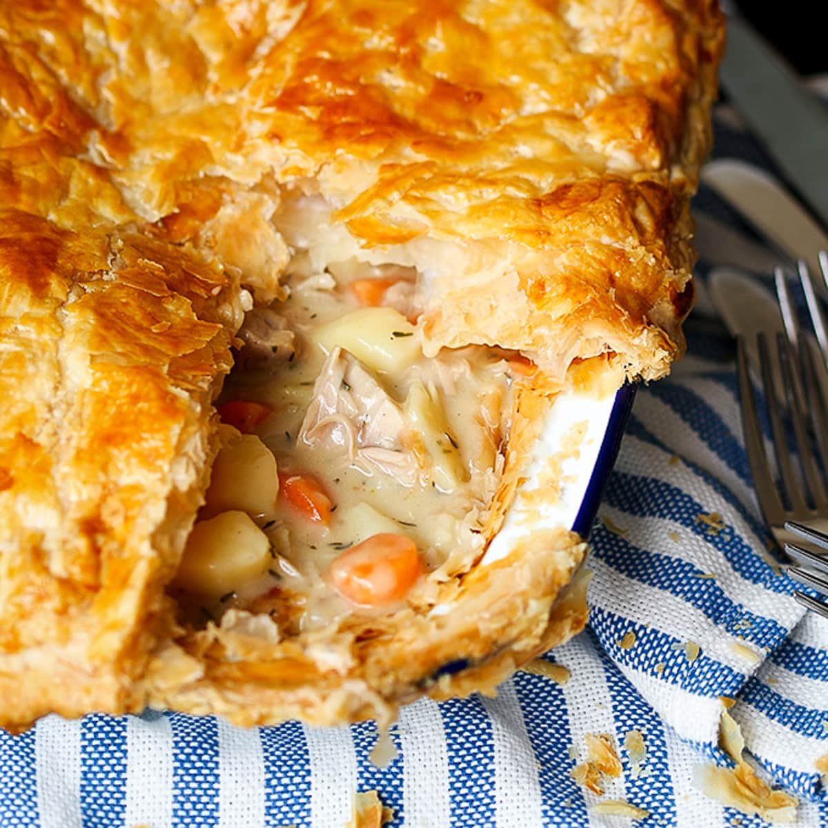 chicken pot pie square fs 2